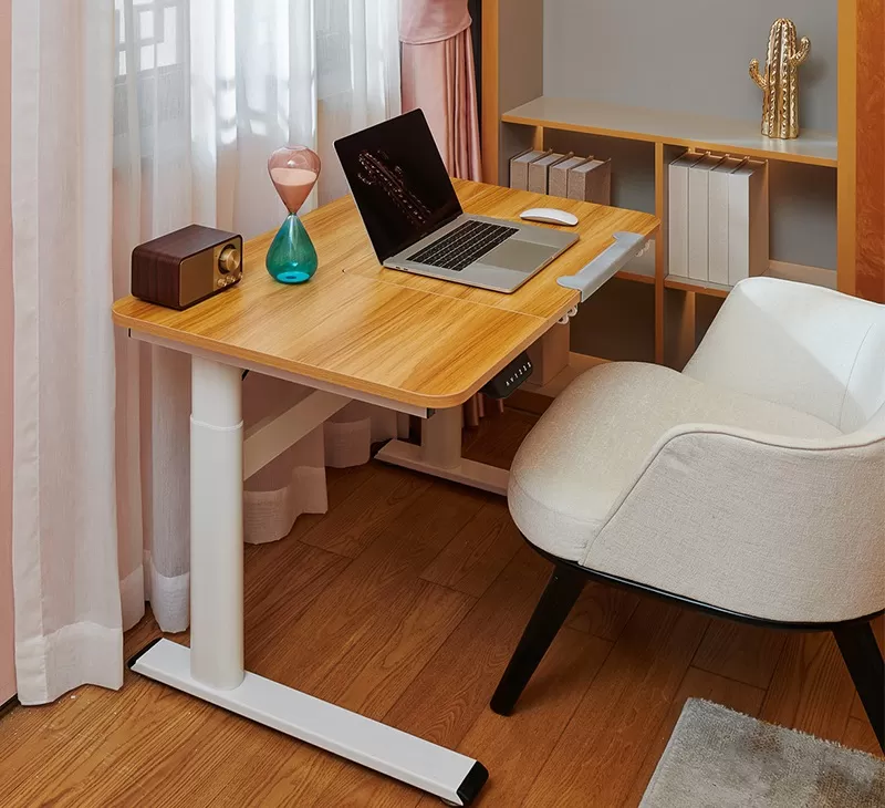 Dual-Motor Dual-Segmented Upright Study Desk