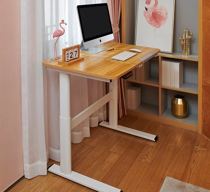 Dual-Motor Dual-Segmented Upright Study Desk